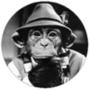 MadMonkey1966's Avatar