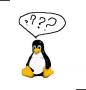 novice_penguin's Avatar