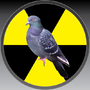 nuclearpidgeon's Avatar