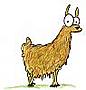 llamafier's Avatar