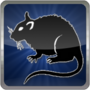 Defiant Rat's Avatar